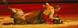 spectacle-imbert