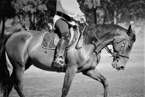 cheval