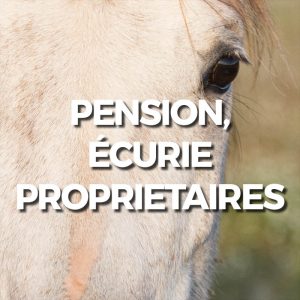 pension_écuries
