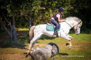 saut-cross