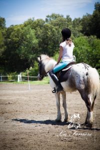 cheval