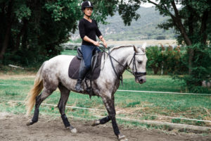 cheval
