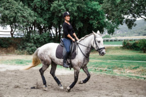 cheval