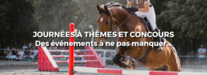 thèmes-concours