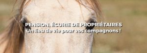 pension-écuries