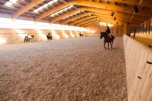 cours-equestre
