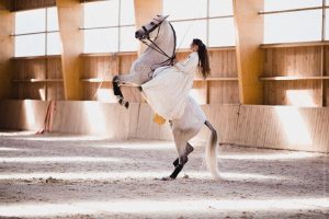 spectacle-dressage-manège