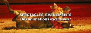 spectacles-événements