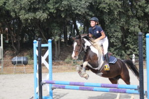 challenge-saut