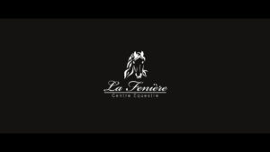 vignette-vidéo