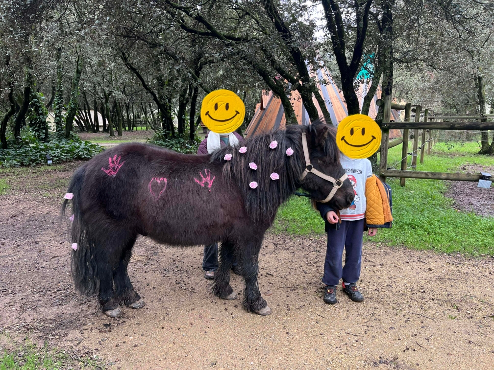 poney gender reveal