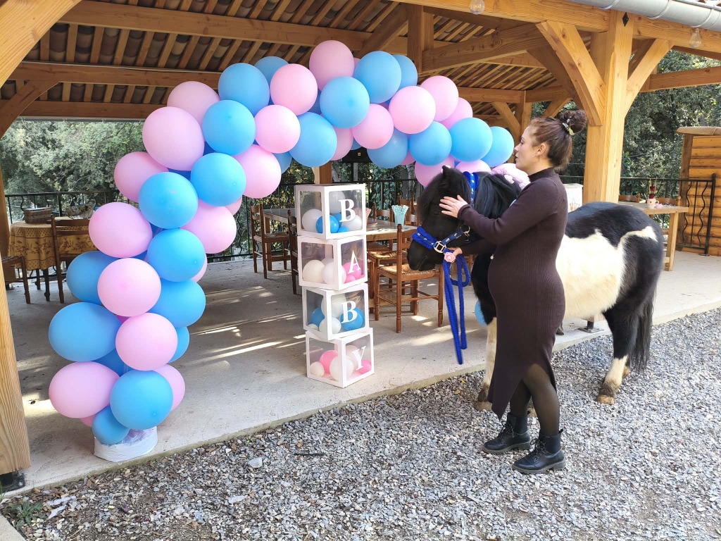 location installation baby shower gender reveal