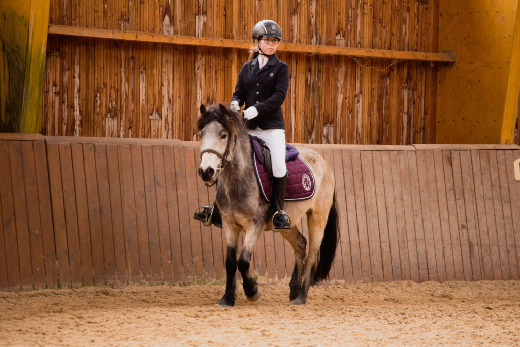 I LOVE DES LEM DRESSAGE